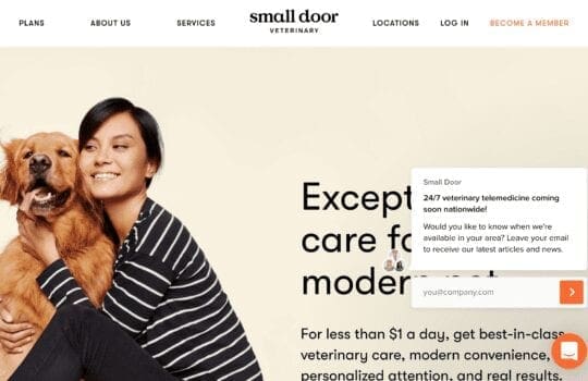 Small Door Vet